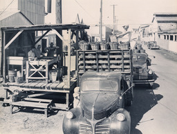 Government Inspection Shed, ca. 1950.