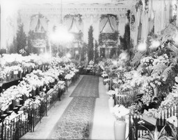 Delaware Flower Show, November 16, 1932