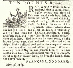Advertisement, reward for freedom seeker Caesar, May 16, 1789