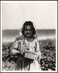 Alberta McNadd, age 5, picks berries at Chester Truitt's farm, Cannon, Del. Reproduction from United States National Archives and Records Administration. For study purposes only.