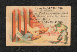 Trade card depicting two ducks and a frog. Trade card reads "W.N. Chandler,/Dealer in/Flour, Feed, & Garden, Field/and Flower Seeds. Foreign and/Domestic Birds./611 Market St." 
