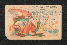 Trade card depicting a frog sitting under a mushroom. Trade card reads "W.N. Chandler,/Dealer in/Flour, Feed, & Garden, Field/and Flower Seeds. Foreign and/Domestic Birds./611 Market St."  