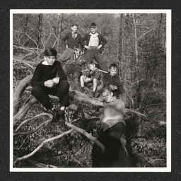 Boys pose in tree, 1939