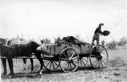 John Tarburton's farm, Dover, Del., ca. 1910s