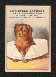 Trade card with an illustration of a dog sitting inside a starched collar advertising W.N. Bradway owner of City Steam Laundry in Wilmington.
