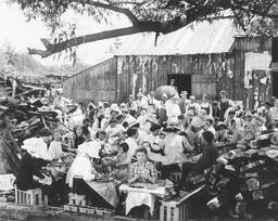 A general view of women and children working outdoors in Seaford, Del. Copied from the National Archives and Records Administration.