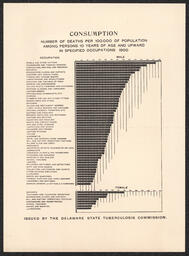 Flyer, Tuberculosis deaths by occupation, circa 1900