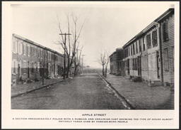 Photo of row homes along Apple Street occupied mostly by Polish, Russian, and Ukrainian immigrant families. Neighborhood was within walking distance of the railroad factories and car shops where many residents worked. Taken to give an example of an immigrant area in Wilmington. From Grace T. Brewer, "Report of the Americanization Bureau," Bureau of the Service Citizens of Delaware, vol. 7, no. 3, Jan. 1926.