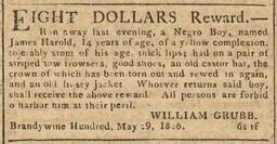 Advertisement, reward for freedom seeker James Harold in Mirror of the Times, June 11, 1806 
